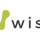 go wise logo